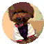 640 (13).gif