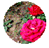 640 (14).gif